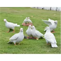仿真鸽子套装