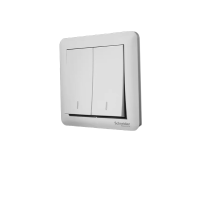 DP 施耐德开关 二开双控86mm*86mm 白色