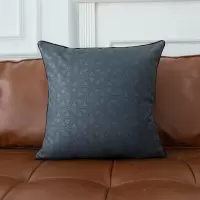 CARTINOE靠垫32*10*30