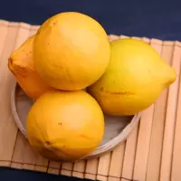[西沛生鲜]新鲜蛋黄鸡蛋果 净重3斤装 新鲜热带水果 果肉多 狮头果