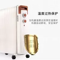 REACH 油汀取暖器家用电热油汀立式暖气13片扬子