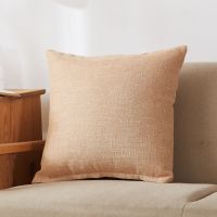 50*50 靠枕 颜色随机