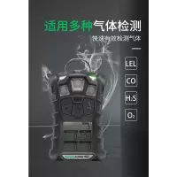 梅思安 4合一多功能气体检测仪 天鹰4X(4合一)(台)