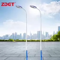 ZDET 自弯臂路灯 TY-150 150W 高6米 正白光 飞机灯头+灯杆+预埋件(套)