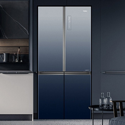 海尔(haier)对开门冰箱bcd-555wsceu1