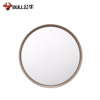 公牛(bull)24W全白吸顶灯1个+48W星灿吸顶灯1个