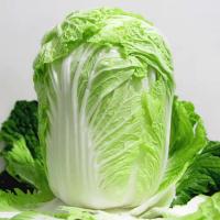 大白菜(嘉峪关0805)
