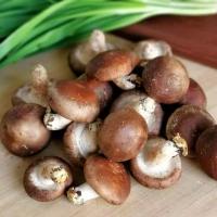 鲜香菇(嘉峪关0805)