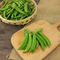 荷兰豆(嘉峪关0805)