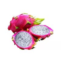 火龙果(嘉峪关0805)