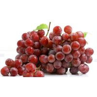 红提(嘉峪关0805)