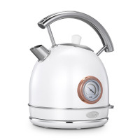 大宇DYSH-K01电热水壶