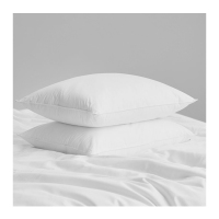 (HD)俏庭 48*74cm 全棉枕芯 (计价单位:只)