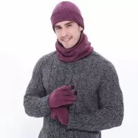 冬季男士保暖三件套(帽子手套围巾Y