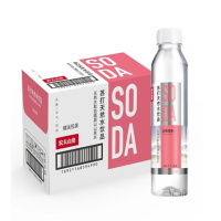 农夫山泉白桃苏打水480ml*15瓶