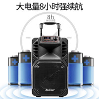爱浪(Avlight) DT广场舞音响户外拉杆大功率移动无线蓝牙音箱 15吋音响