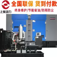 上柴动力 柴油发电机工地消防 125KW SKXH-001(含安装) 单位:台