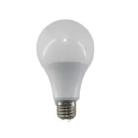led低压灯泡 12V-48V 24W 10支/箱