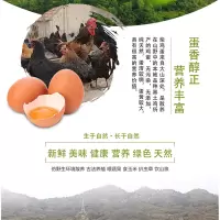 农垦鲜禾鲜散养土鸡蛋(30枚)
