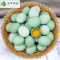 [五个农民]绿壳鸡蛋20枚800g高营养农家绿壳蛋乌鸡蛋天然散养顺丰发货