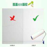 创远乳胶漆白色单桶装