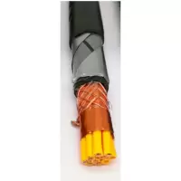 胡杨 聚乙烯安装线 ZA-KVVP22 12*1mm² 450/750V(m)