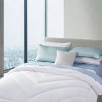 BOSS HUGO BOSS HBXW-039 豪华加厚冬被