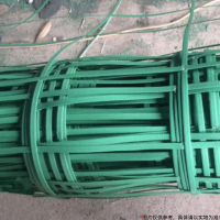 SIMWORK 钢塑格栅网 网孔20CM 宽3米*长50米 绿色