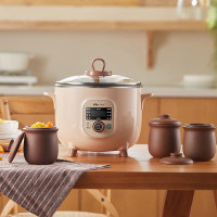 小熊(bear)电炖锅紫砂锅电炖盅电砂锅煲汤锅隔水炖2.5+5.3L双炖杏色 DDZ-C25L