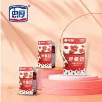 忠厚红枣口味早餐奶250mL*10复合蛋白饮品年货礼盒