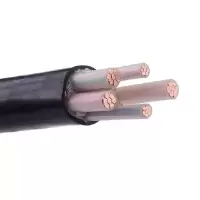 胡杨 聚乙烯安装线 ZA-YJV22-0.6 1kV-5*16mm²(m)