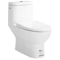 箭牌卫浴(ARROW)马桶 家用坐便器 防臭防溅 釉面光亮易洁 地排喷射虹吸式 节水AB1116