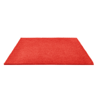 定制地垫除尘拉丝防滑地垫进门垫入户垫蹭脚垫办公室地垫红色(1.2M*1M)