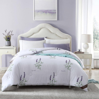 博洋宝贝(Beyond Kids) BYXW610-1香薰被