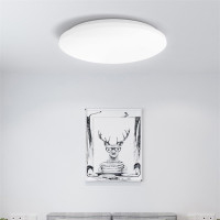 飞利浦(PHILIPS)led卧室吸顶灯书房儿童房现代简约灯具 恒妍 24W 6500K白光