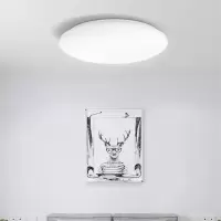 飞利浦(PHILIPS)led卧室吸顶灯书房儿童房现代简约灯具 恒妍 24W 6500K白光