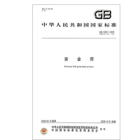 天星GB6095-2009 安全带