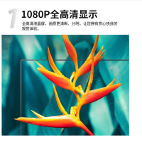 TCL电视 43L8F 43英寸 全高清电视 智能网络 液晶平板电视机