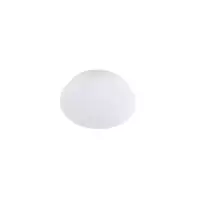 LED感应吸顶灯 17W