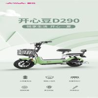 爱玛开心豆系列48V20ah