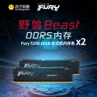 金士顿 (Kingston) FURY 32GB(16G×2)套装 DDR5 5200 台式机内存条 Beast野兽系列 骇客神条