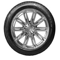 普利司通轮胎 (冬季)235/55R.17(单位:个)