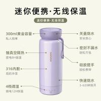 韩国大宇(DAEWOO)电水壶烧水保温杯D8 颜色随机