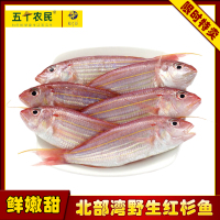 桂之海北部湾野生红杉鱼去鳞去腮去内脏海鱼400g*3袋