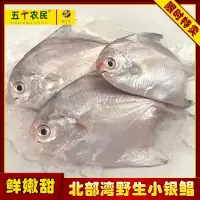 桂之海北部湾野生小银鲳新鲜原条速冻400g*3袋小号银鲳鱼
