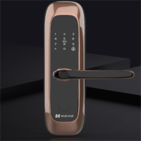 萤石家用智能门锁指纹锁 DL21VS