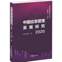 中国应急管理发展研究2020_2020b1009500