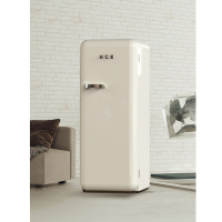 哈士奇复古冰箱美式单门彩色冰箱