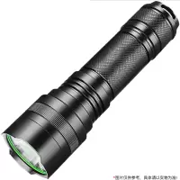 PAULMANN P LEDSH强光手电筒L6 10W 可充电