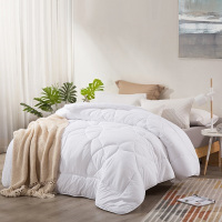 LOVO 芮享防螨春秋被 200*230cm